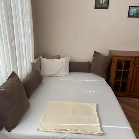 палм корт